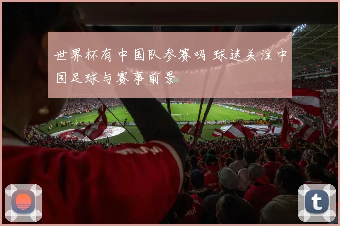 世界杯有中国队参赛吗 球迷关注中国足球与赛事前景
