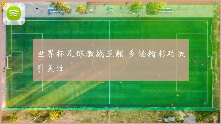 世界杯足球激战正酣 多场精彩对决引关注