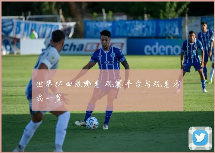世界杯回放哪看 观赛平台与观看方式一览