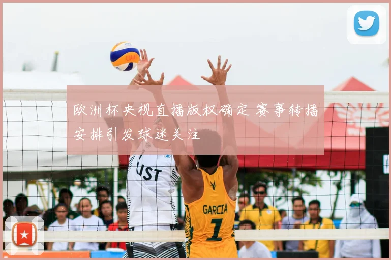 欧洲杯央视直播版权确定 赛事转播安排引发球迷关注