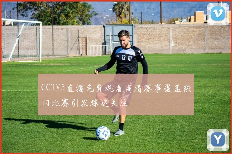 CCTV5直播免费观看高清赛事覆盖热门比赛引发球迷关注