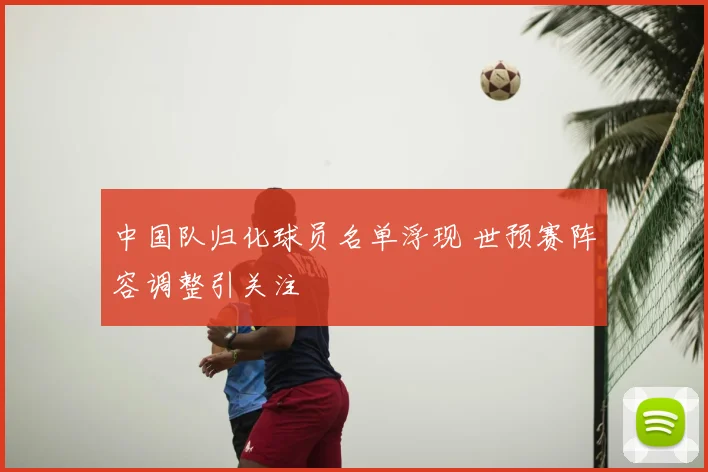 中国队归化球员名单浮现 世预赛阵容调整引关注