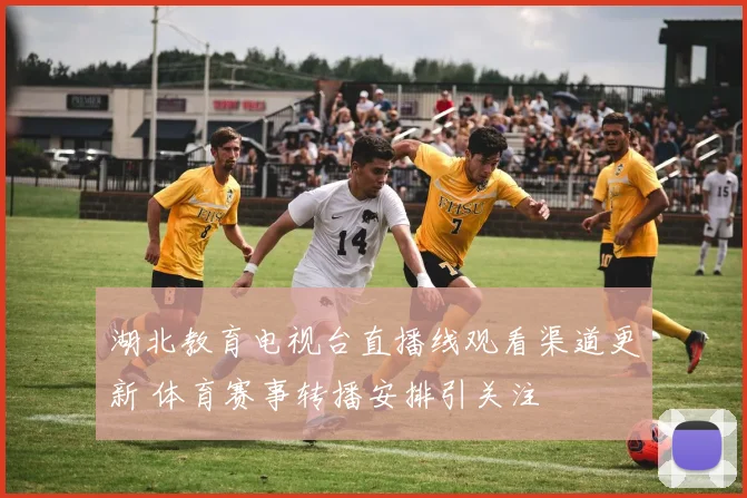 湖北教育电视台直播线观看渠道更新 体育赛事转播安排引关注